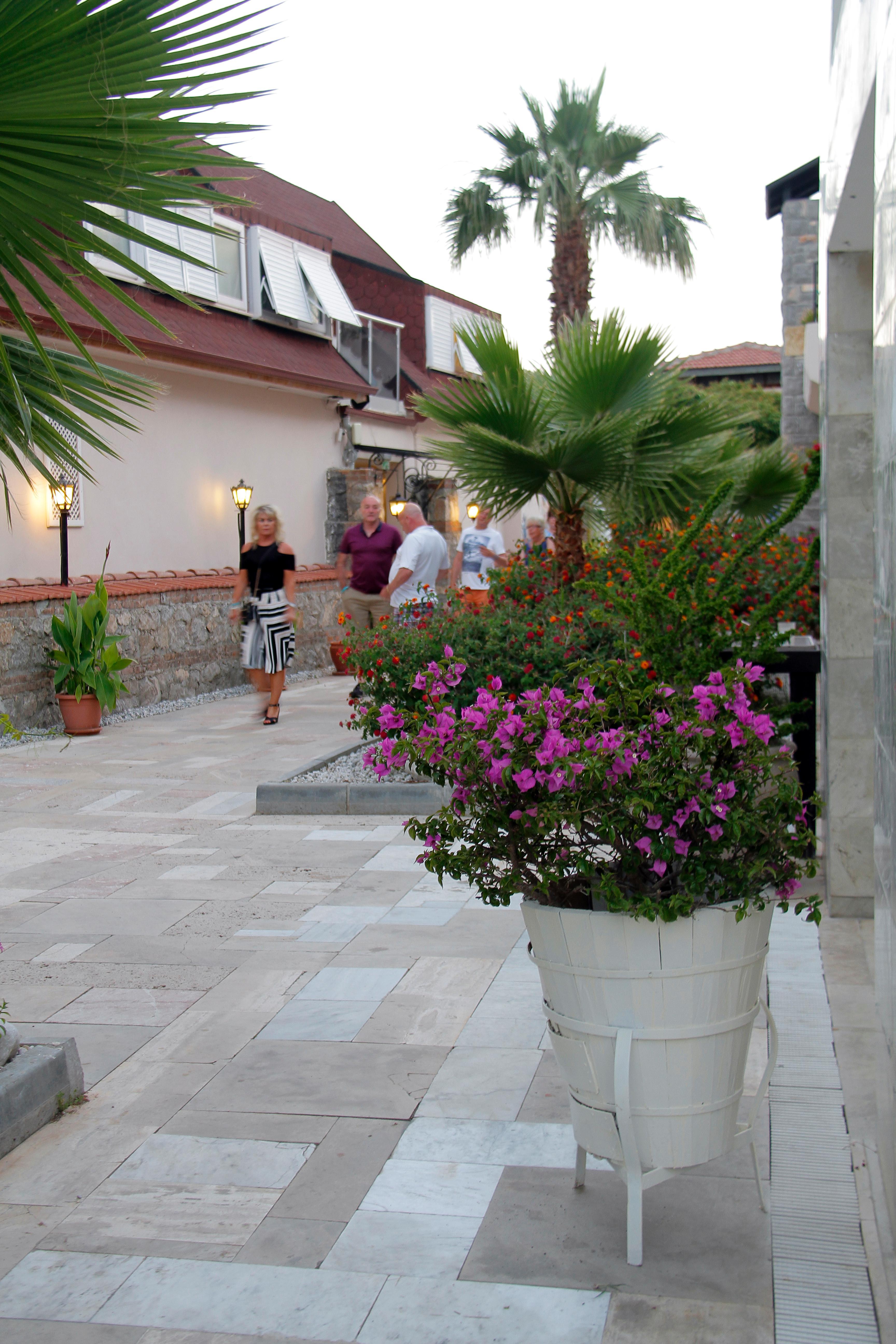 Nicholas Park Hotel Ölüdeniz Eksteriør billede